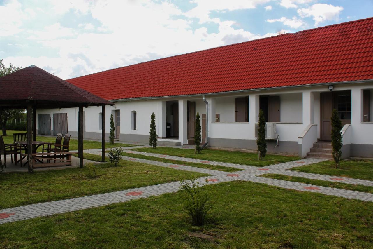 Das Blaue Haus Guesthouse - Kovacshida Luaran gambar