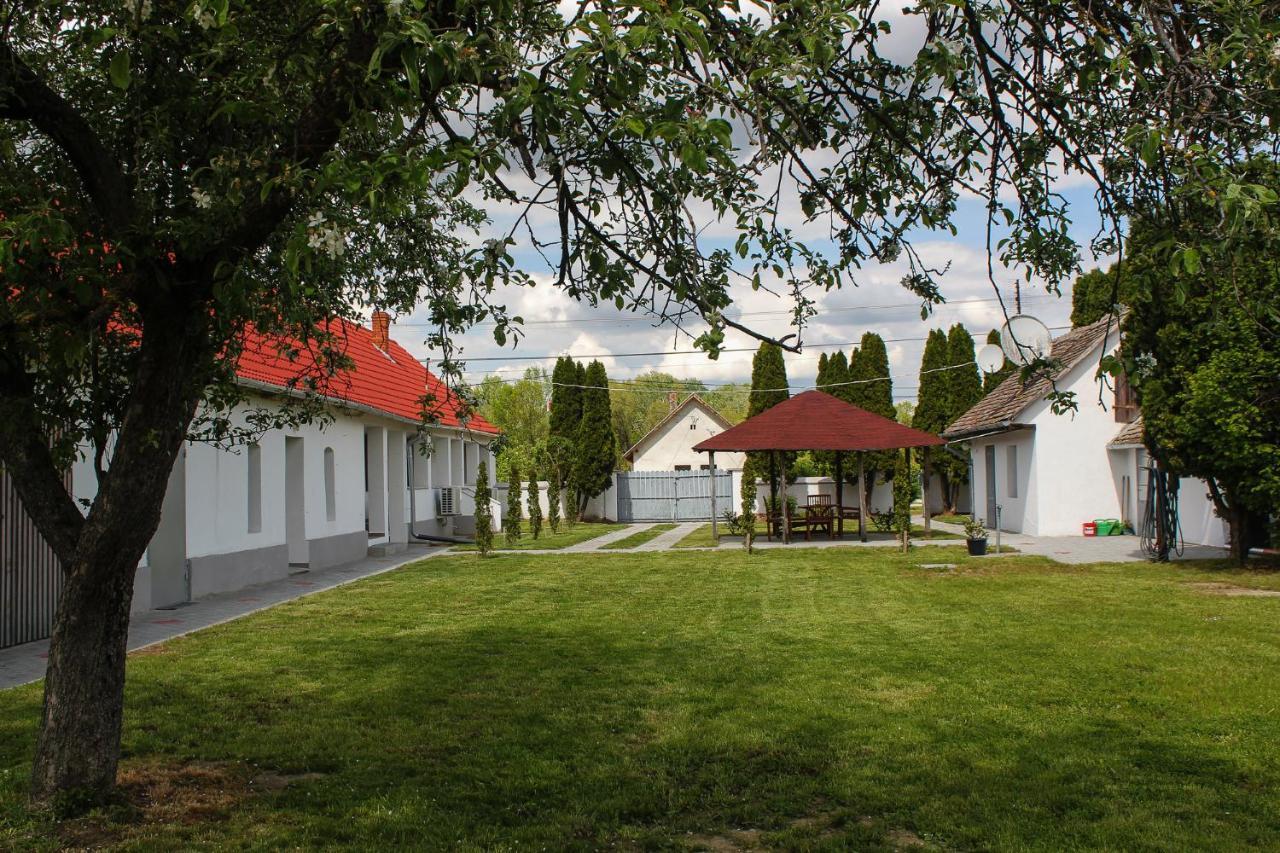 Das Blaue Haus Guesthouse - Kovacshida Luaran gambar